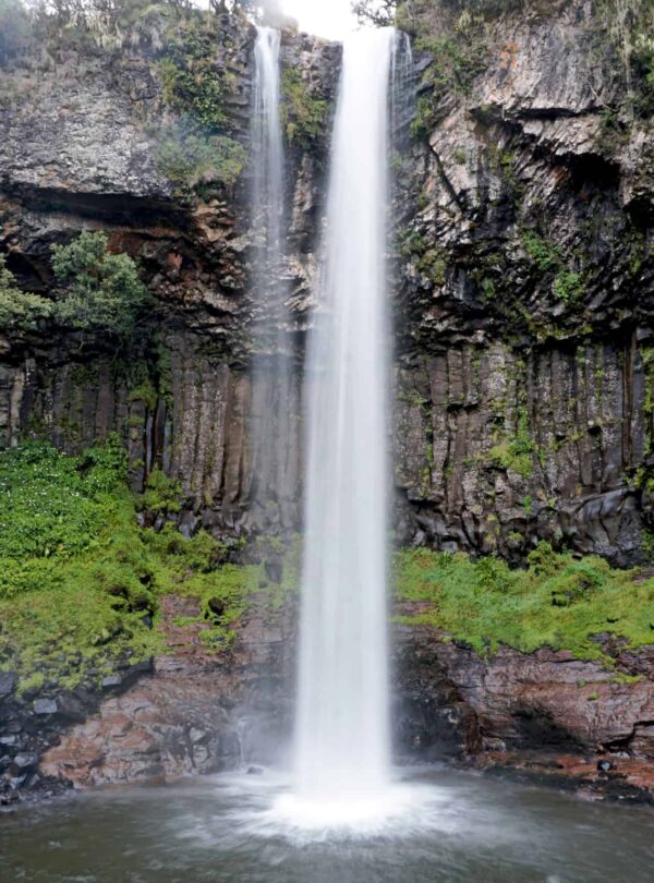 Aberdares National Park