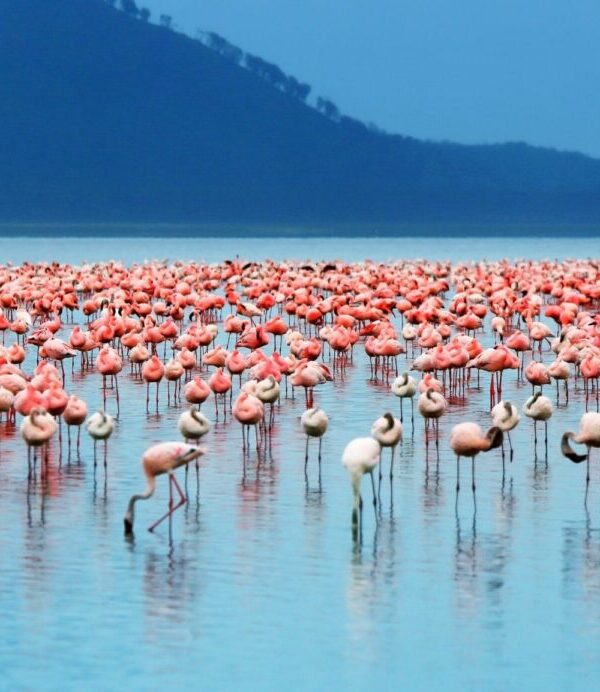 Lake Nakuru National Park