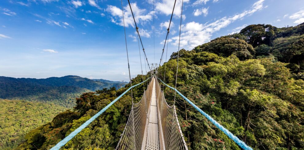 Nyungwe Forest National Park