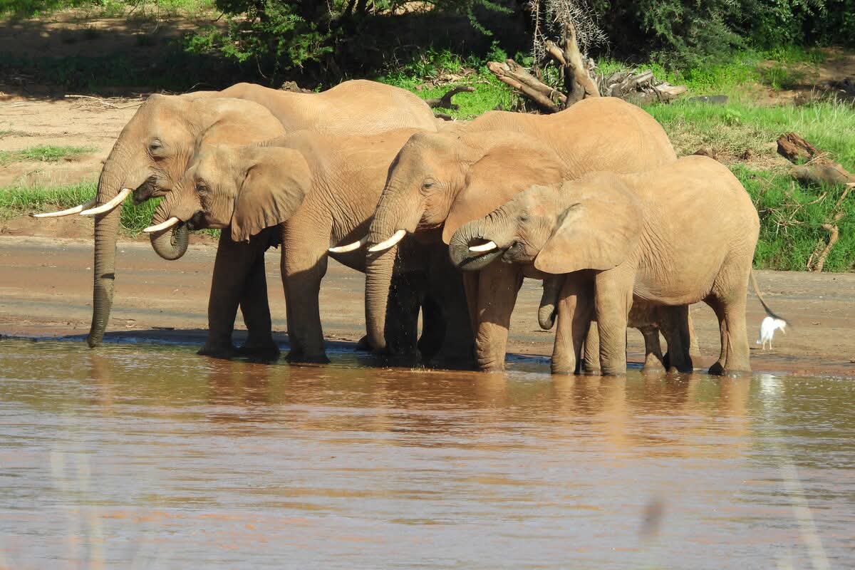 Day Trips in Tanzania