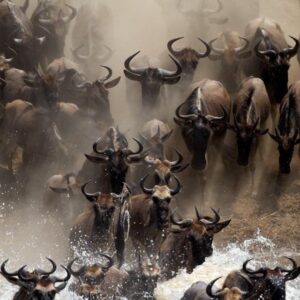 6 Days Tanzania Safari