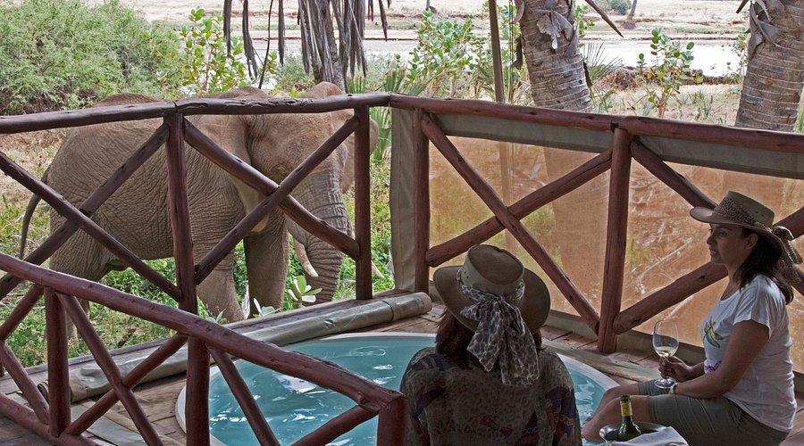 Elephant Bedroom Camp