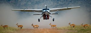 3 Days Samburu Flying Safari