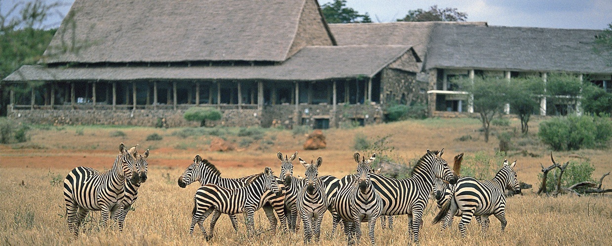 Kilaguni Serena Safari Lodge