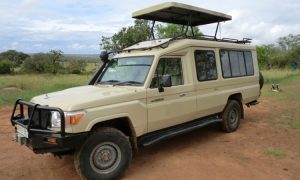 Extended 4×4 Safari Landcruiser