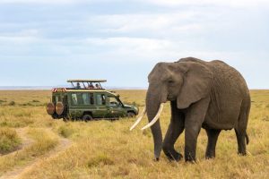 2 Days Amboseli Safari from Nairobi