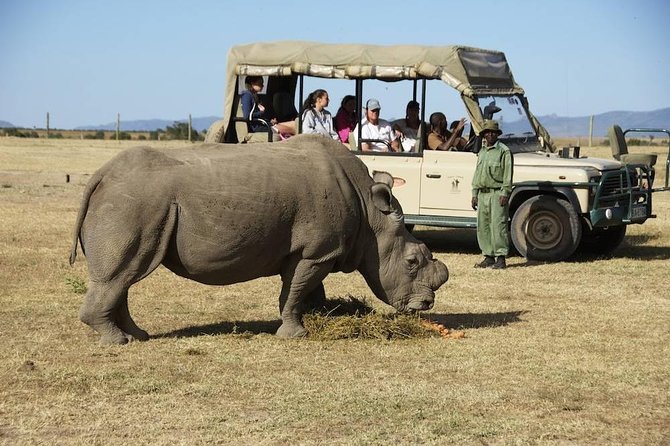Day 1: Nairobi to Aberdare National Park