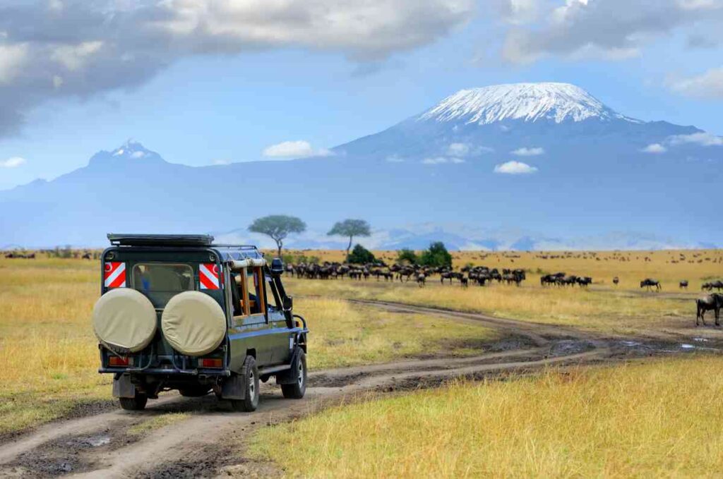 Day 3: Return to Nairobi