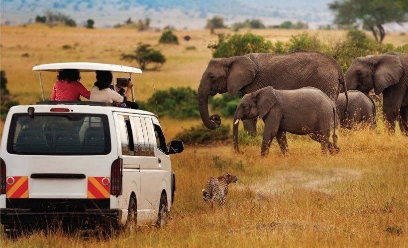 Safari Tour Van Hire Kenya