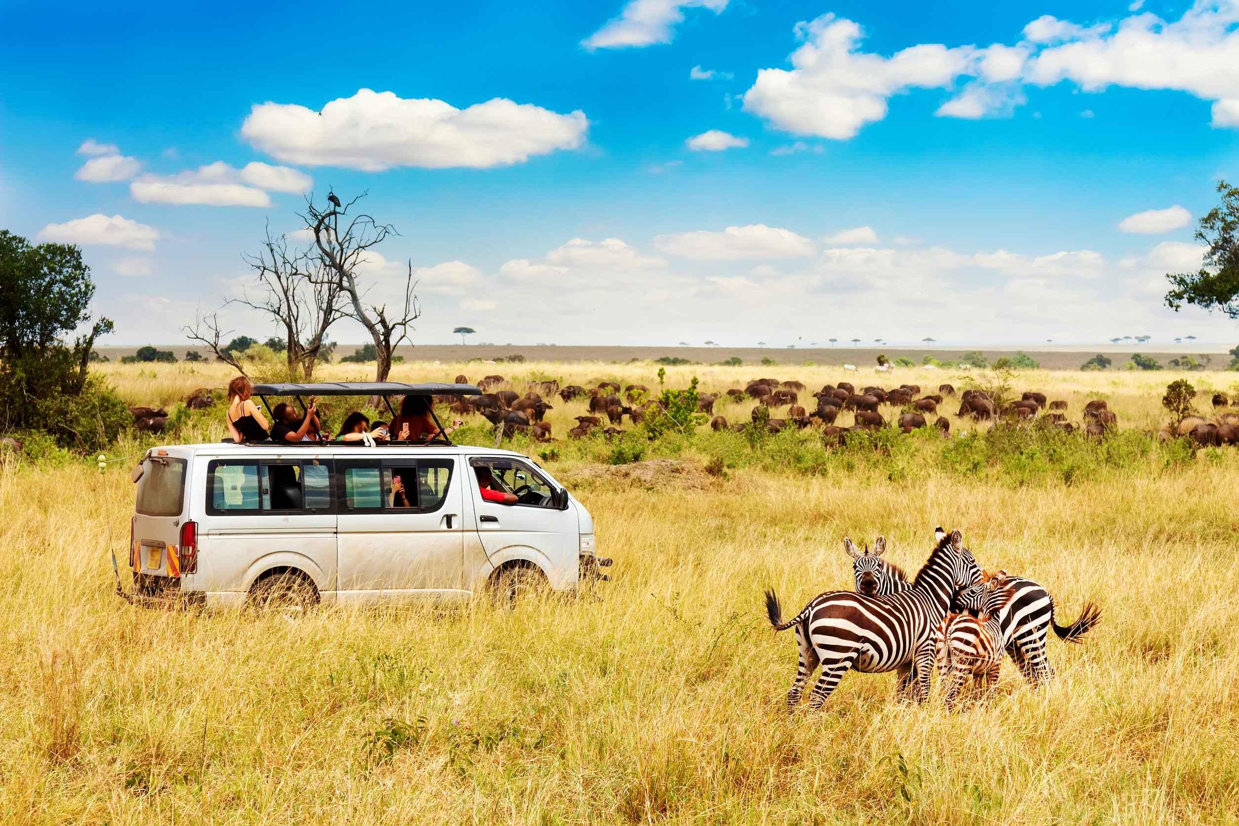 Safari Tour Van Hire Kenya
