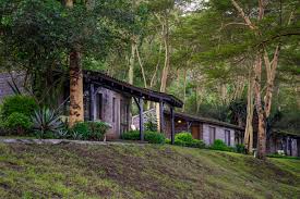 Sarova Lion Hill Game Lodge