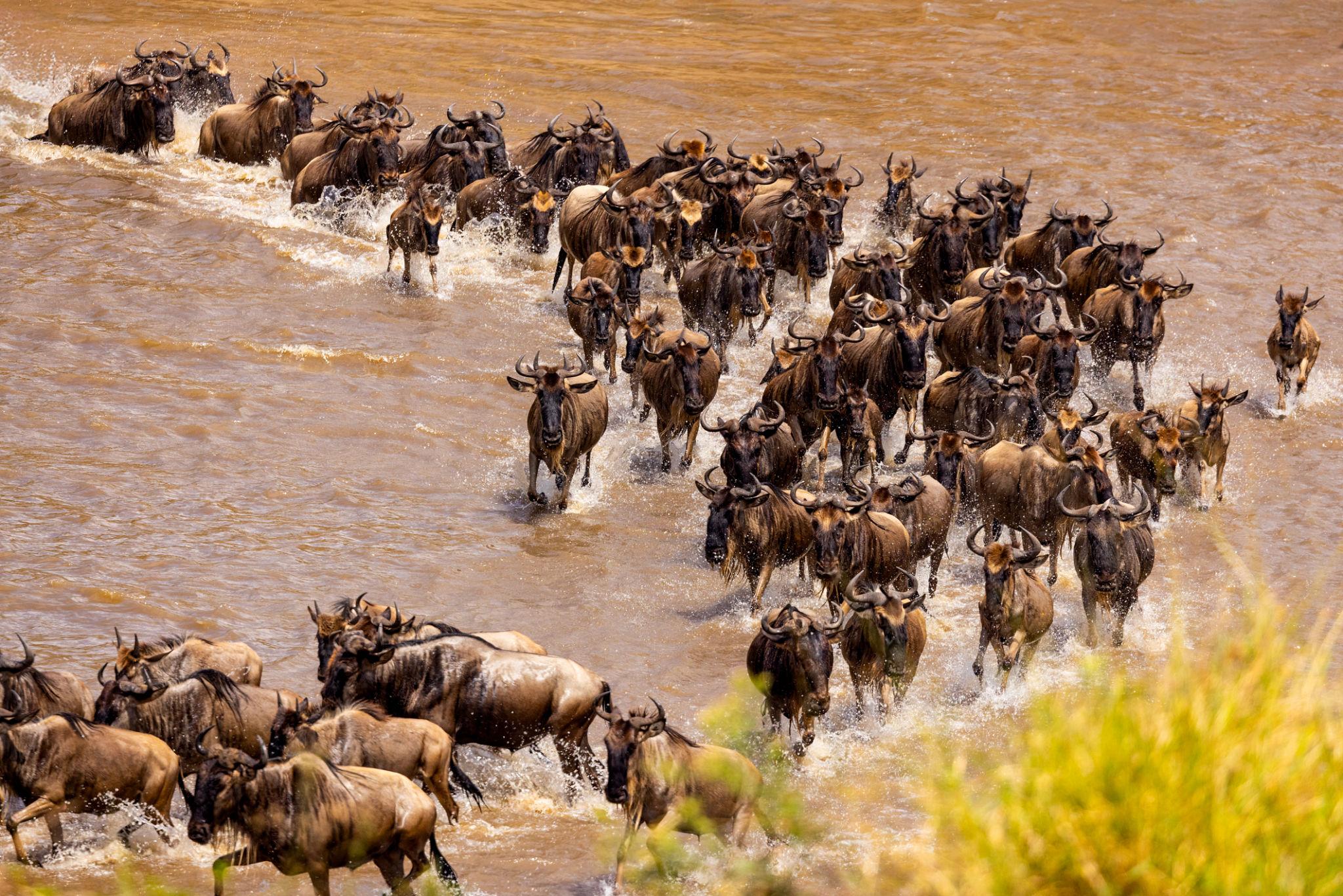 5 Days Tanzania Safari