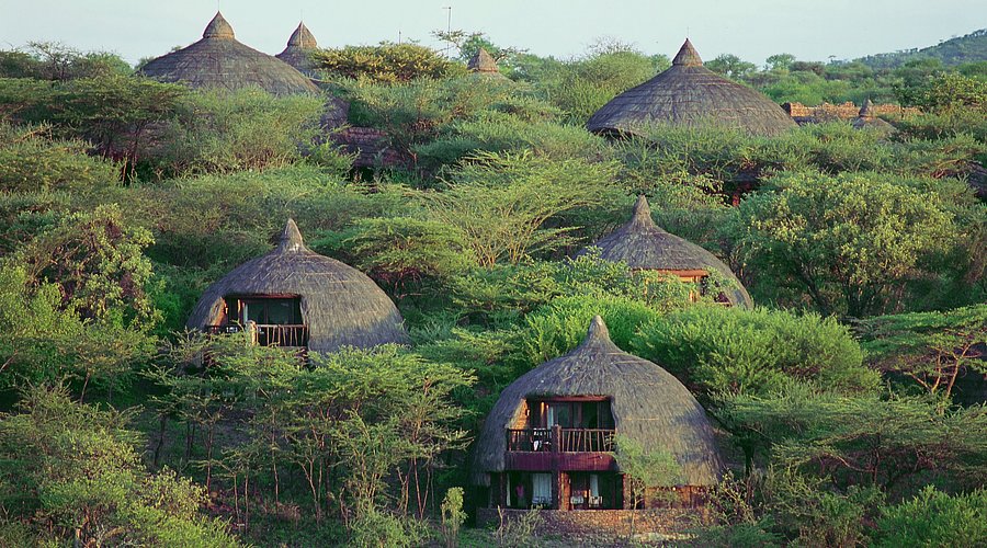 Serengeti