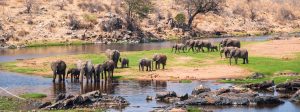 3 Days Tanzania Safari