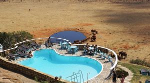 Voi Safari Lodge