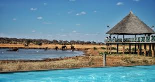 Voi Safari Lodge