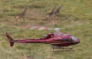 4 Days Masai Mara Fly-in Safari from Diani Beach
