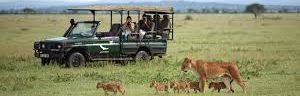 7 Days Kenya Family Safari