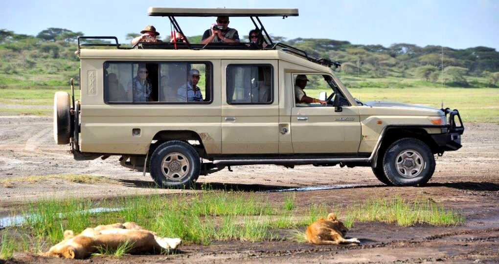 Extended 4×4 Safari Landcruiser