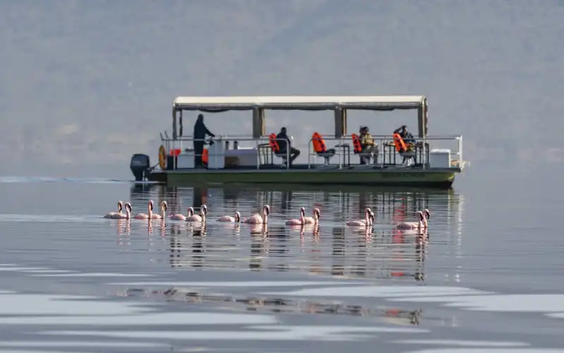 Day 2: Full Day Lake Nakuru