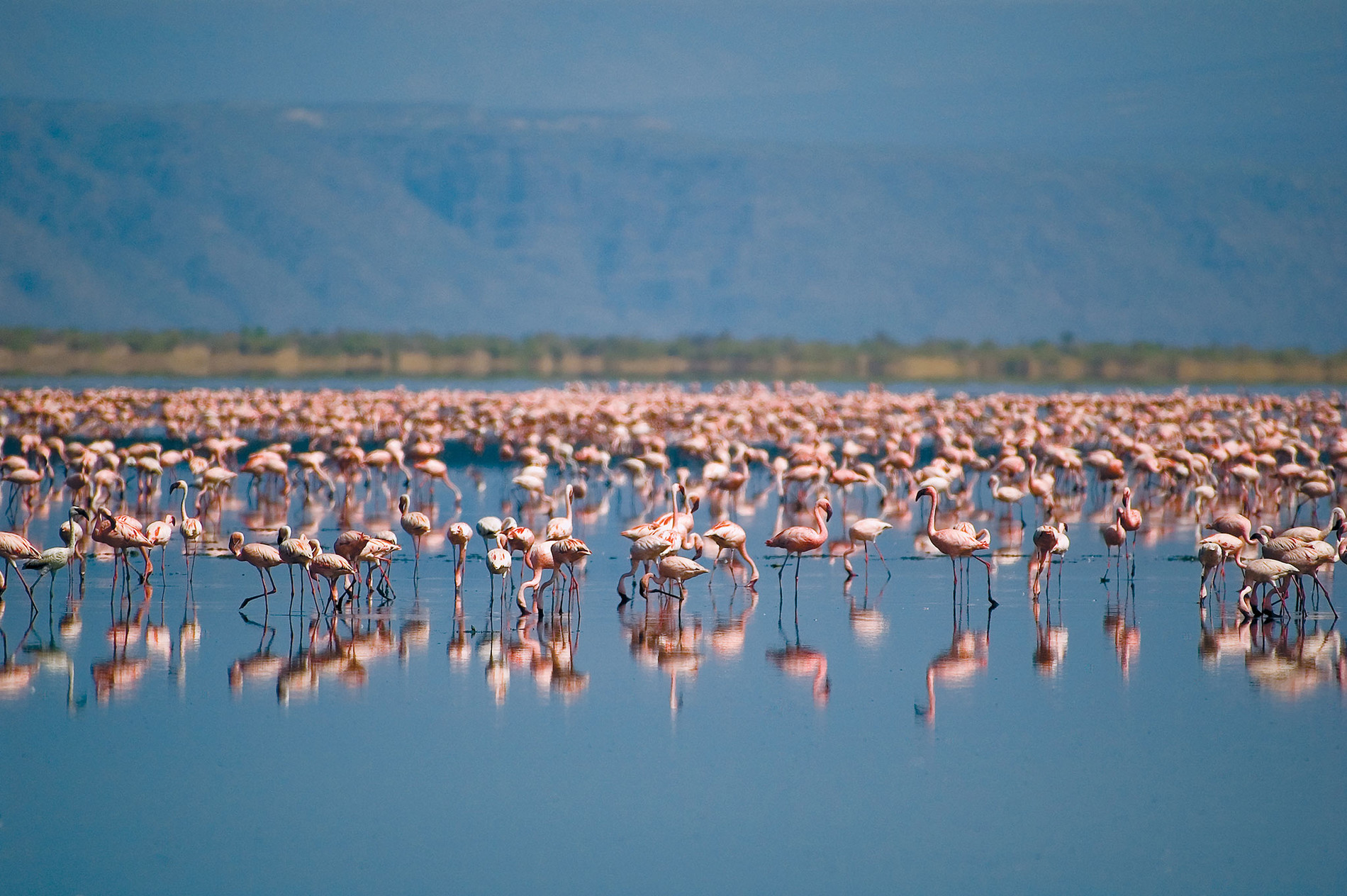 Lake Natron Helicopter Safari