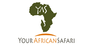 Your African Safari