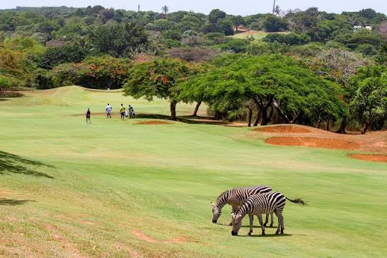 Vipingo Ridge